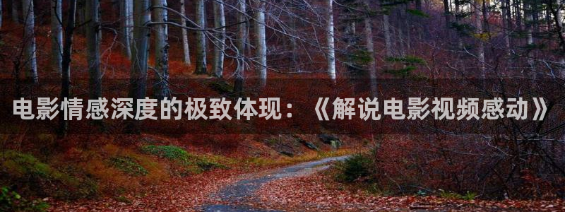 秋霞在线观看视频在线观看视频：电影情感深度的极致体现：《解说电影视频感动》