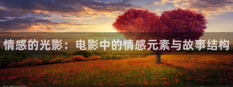 影视先锋秋霞网