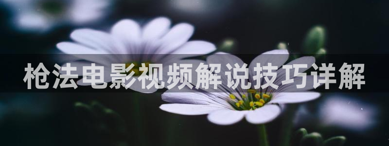 神马影院秋霞影院