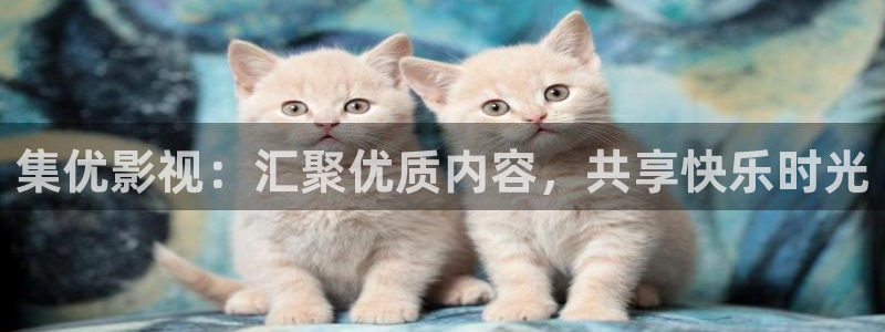 秋霞电影院免费观看：集优影视：汇聚优质内容，共享快乐时光